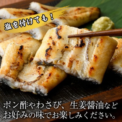 鹿児島産　有頭白焼き　2尾セット
