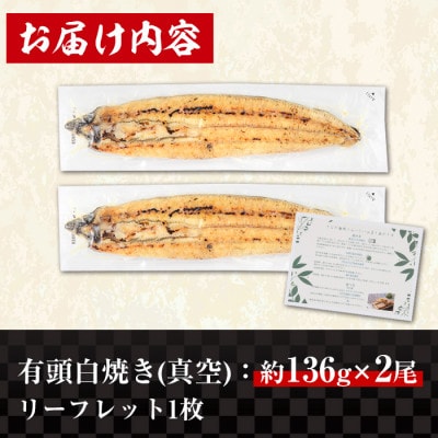 鹿児島産　有頭白焼き　2尾セット
