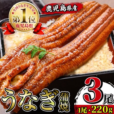 鹿児島県産 うなぎ蒲焼　3尾(約220g×3)_I1078-B