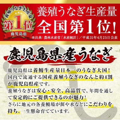 鹿児島県産 うなぎ蒲焼　5尾(約220g×5)_I1078-C