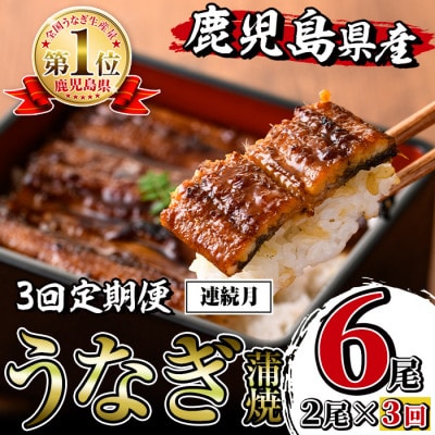 【毎月定期便】鹿児島県産 鰻蒲焼2尾(1尾約140g×2尾)セット全3回