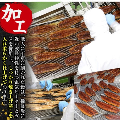 【2ヵ月毎定期便】鹿児島県産 鰻蒲焼2尾セット(1尾約140g×2尾)全3回