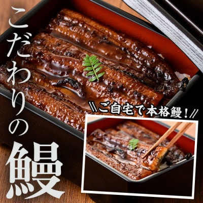 【2ヵ月毎定期便】鹿児島県産 鰻蒲焼3尾(1尾約140g×3尾)セット全6回