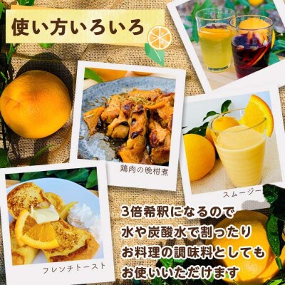江崎果樹園クラフト晩柑ネード  3倍希釈500ml　3本セット