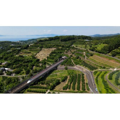 贅沢飲み切りタイプ全3種!柑橘ストレートジュース詰め合わせ10本セット