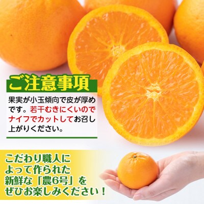 農6みかん　約10キロ_I593