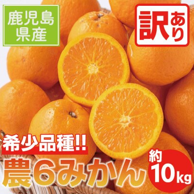 《訳あり》農6みかん　約10キロ