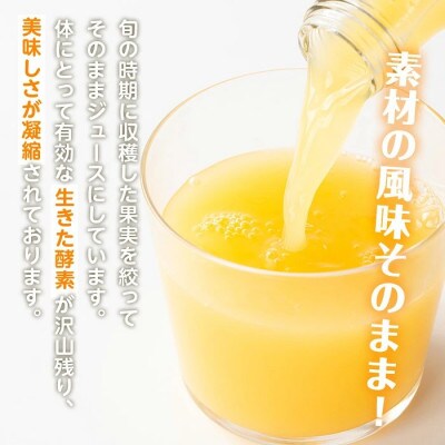 河内晩柑ジュース8本セット_I834