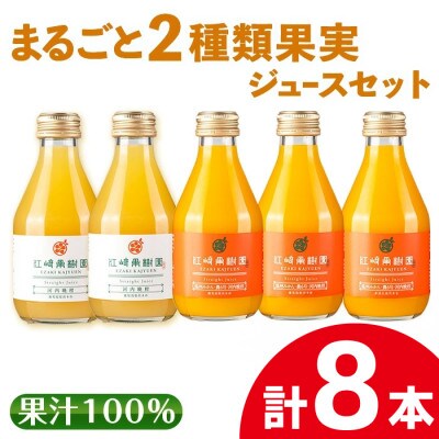 まるごと2種類果実ジュース8本セット_I610