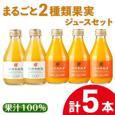 まるごと2種類果実ジュース5本セット_I990-D