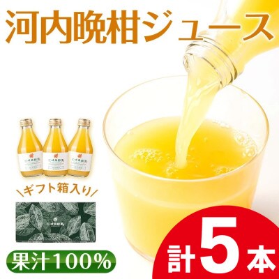 河内晩柑ジュース5本セット_I990-A