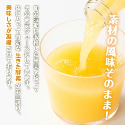 河内晩柑ジュース5本セット_I990-A