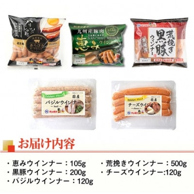 ウインナー好きのための食べ比べセット5種 【ナンチク】i322(出水市)