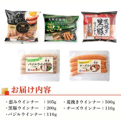 ウインナー好きのための食べ比べセット5種 【ナンチク】i322(出水市)