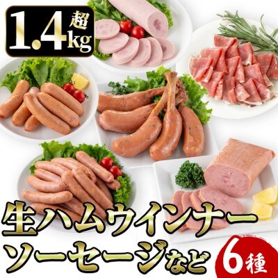 鹿児島発 シャルキュトリ セット 6種 計1.4kg超 【ナンチク】 i320(出水市)