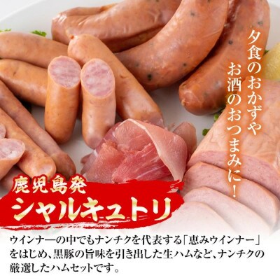 鹿児島発 シャルキュトリ セット 6種 計1.5kg超 【ナンチク】 i320(出水市)