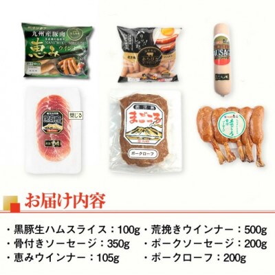 鹿児島発 シャルキュトリ セット 6種 計1.4kg超 【ナンチク】 i320(出水市)