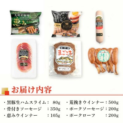 鹿児島発 シャルキュトリ セット 6種 計1.4kg超 【ナンチク】 i320(出水市)