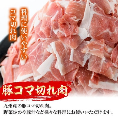 九州産 豚コマ 切れ肉 計1kg 500g×2P【ナンチク】i1062(出水市)