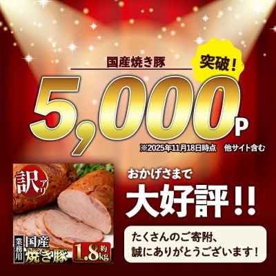 【業務用・訳あり】焼豚 計4.5kg 900g×5P【ナンチク】I1202-A(出水市)
