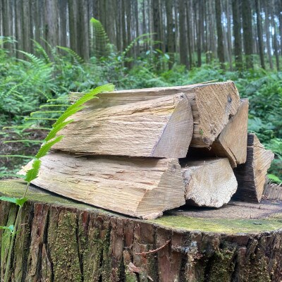 MAKIDON　20kg【高級薪(カシ)】