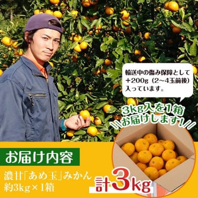 【特別栽培・最高金賞】温州みかん日本一!濃甘あめ玉みかん(約3kg+傷み保障 約200g) i687