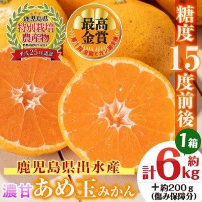 【特別栽培・最高金賞】温州みかん日本一!濃甘あめ玉みかん(約6kg+傷み保障 約200g) i570