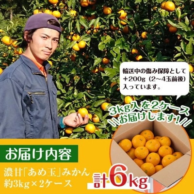 【特別栽培・最高金賞】温州みかん日本一!濃甘あめ玉みかん(約6kg+傷み保障 約200g) i569