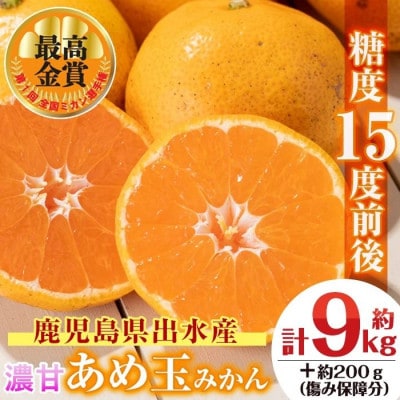 【特別栽培・最高金賞】温州みかん日本一!濃甘あめ玉みかん(約9kg+傷み保障 約200g) i237