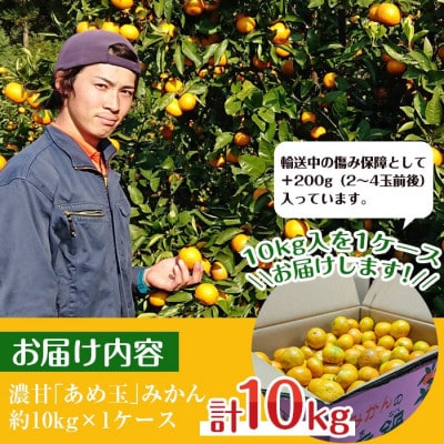 【特別栽培・最高金賞】温州みかん日本一!濃甘あめ玉みかん(約10kg+傷み保障 約200g)i572