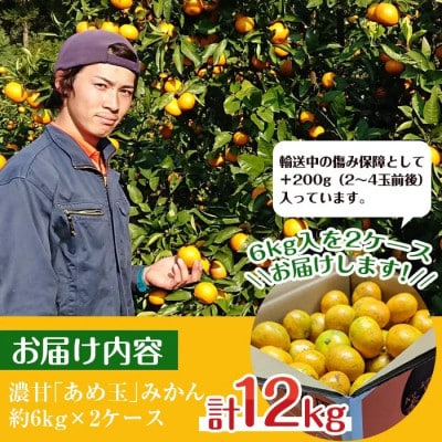 【特別栽培・最高金賞】温州みかん日本一!濃甘あめ玉みかん(約12kg+傷み保障 約200g)i571