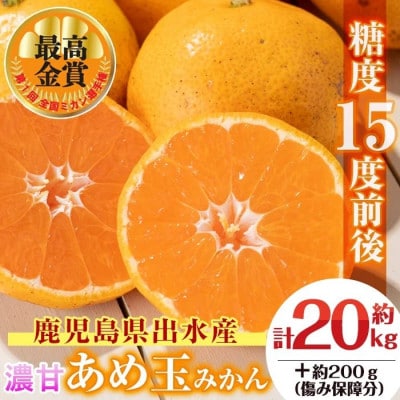 【特別栽培・最高金賞】温州みかん日本一!濃甘あめ玉みかん(約20kg+傷み保障 約200g)i573