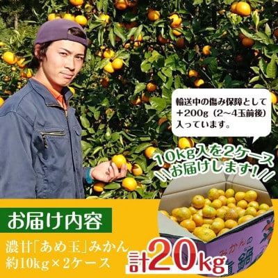 【特別栽培・最高金賞】温州みかん日本一!濃甘あめ玉みかん(約20kg+傷み保障 約200g)i573