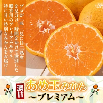 【特別栽培・最高金賞】温州みかん日本一!濃甘あめ玉みかん～プレミアム 匠～(約2kg・Sサイズ)