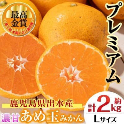 【特別栽培・最高金賞】温州みかん日本一!濃甘あめ玉みかん～プレミアム 恵み～(約2kg・Lサイズ)