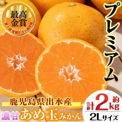 【特別栽培・最高金賞】温州みかん日本一!濃甘あめ玉みかん～プレミアム 紡ぎ～(約2kg・2Lサイズ)