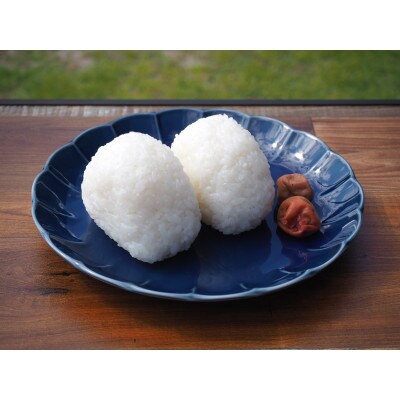 クロレラ米(ひのひかり)10kg
