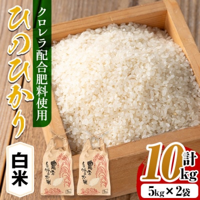 クロレラ米(ひのひかり)10kg_I872-A