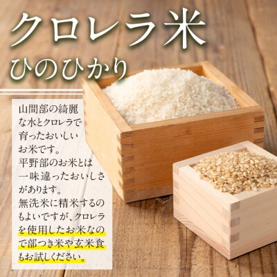 クロレラ米(ひのひかり)10kg_I872-A