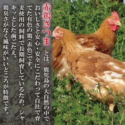 【訳アリ】赤鶏さつま　むね肉(1枚真空)