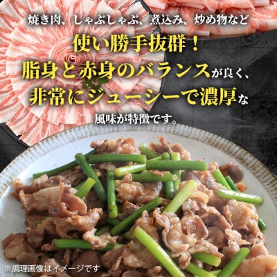 鹿児島県産 黒豚 バラスライス 計1.2kg(600g×2P)【スターゼン】(出水市) i998