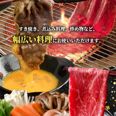 鹿児島県産 黒毛和牛 5等級!カタ(ウデ)スライス 計600g【スターゼン】(出水市) i1004