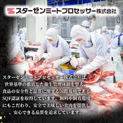 鹿児島県産 黒豚 切り落とし 計3kg(600g×5P)【スターゼン】(出水市) i999
