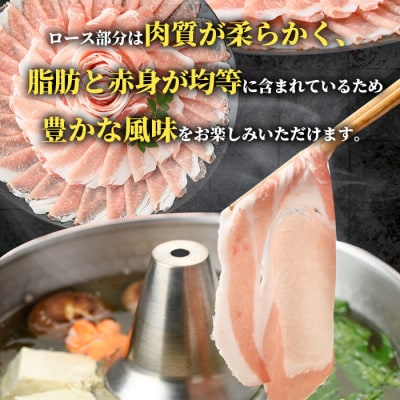 鹿児島県産 黒豚 しゃぶしゃぶ用 ローススライス 計1kg【スターゼン】(出水市) i997