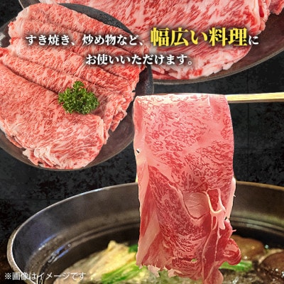 鹿児島県産 黒毛和牛 ローススライス 計400g×1P【スターゼン】(出水市) i1002