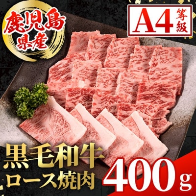 鹿児島県産 黒毛和牛 ロース 焼肉用 計400g×1P【スターゼン】(出水市) i1001