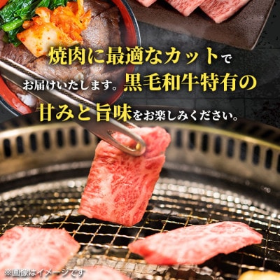 鹿児島県産 黒毛和牛 ロース 焼肉用 計400g×1P【スターゼン】(出水市) i1001