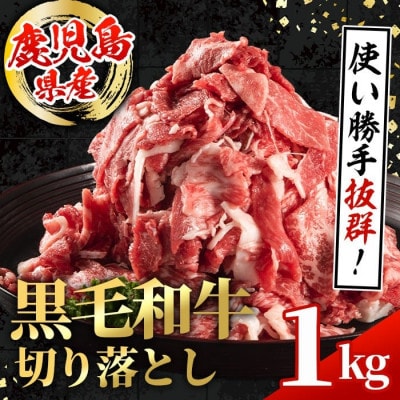 鹿児島県産 黒毛和牛 切り落とし 計1kg(500g×2P)【スターゼン】(出水市) i1000