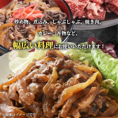鹿児島県産 黒毛和牛 切り落とし 計1kg(500g×2P)【スターゼン】(出水市) i1000