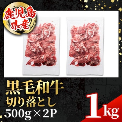 鹿児島県産 黒毛和牛 切り落とし 計1kg(500g×2P)【スターゼン】(出水市) i1000
